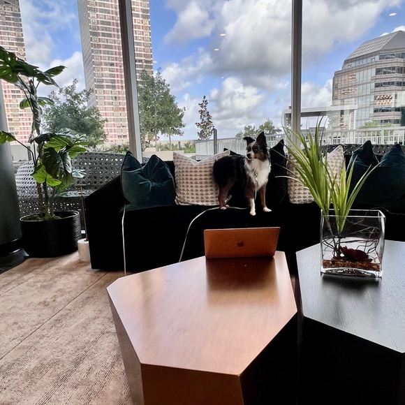 Meet your Posher, Roxana - Picture 2 of 3